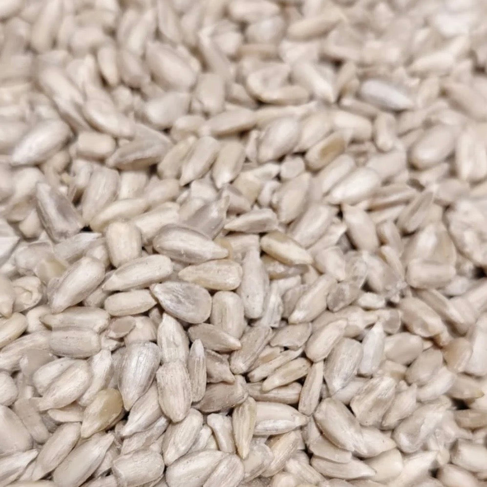 Sonnenblumenkerne